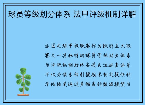 球员等级划分体系 法甲评级机制详解