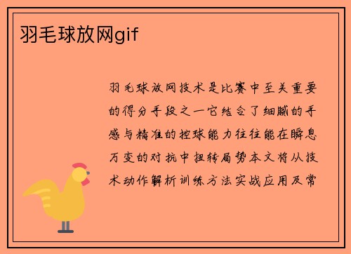 羽毛球放网gif